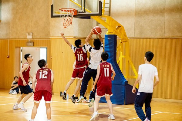 Les cordages de tennis : comment choisir celui qui vous convient ?