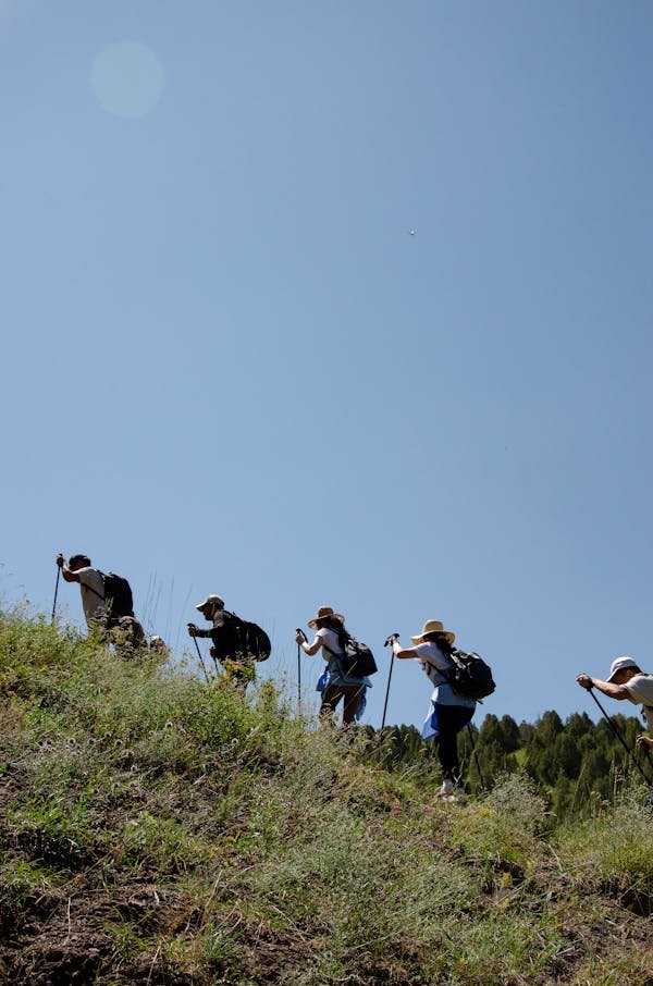 Guide complet pour choisir le meilleur baton de marche